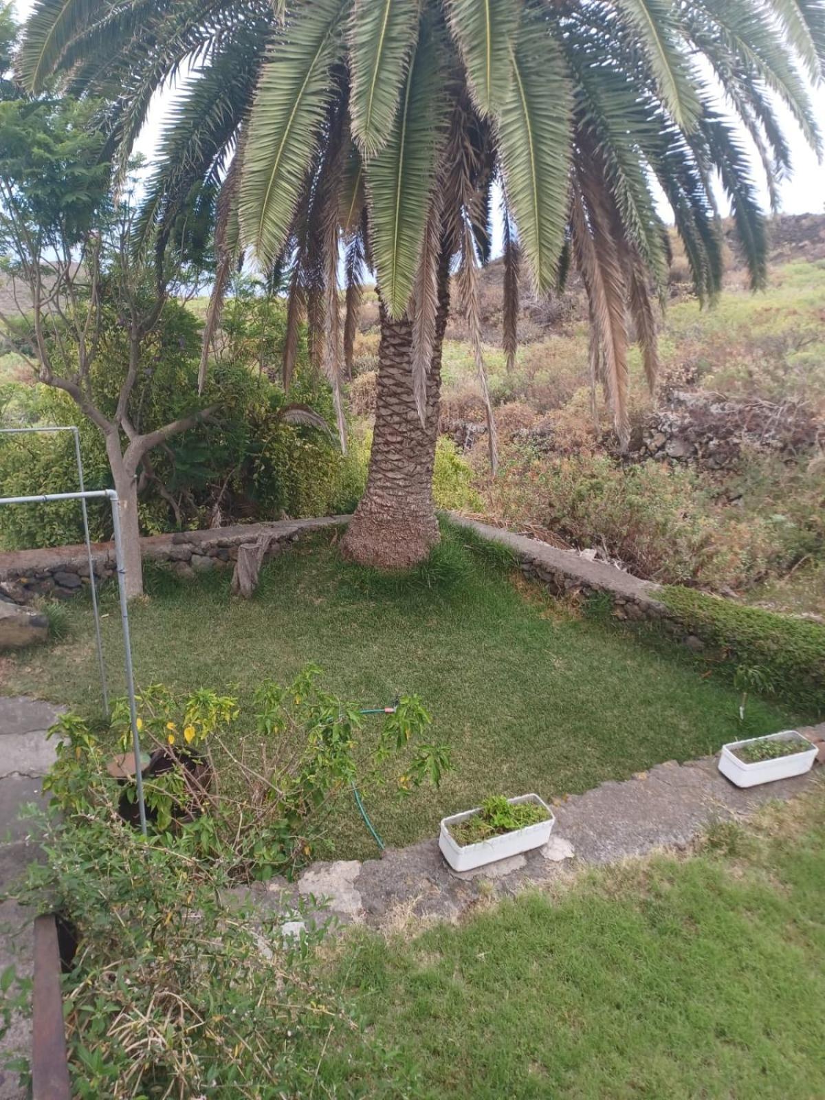 Casa Rural El Olivo De Mazo ภายนอก รูปภาพ