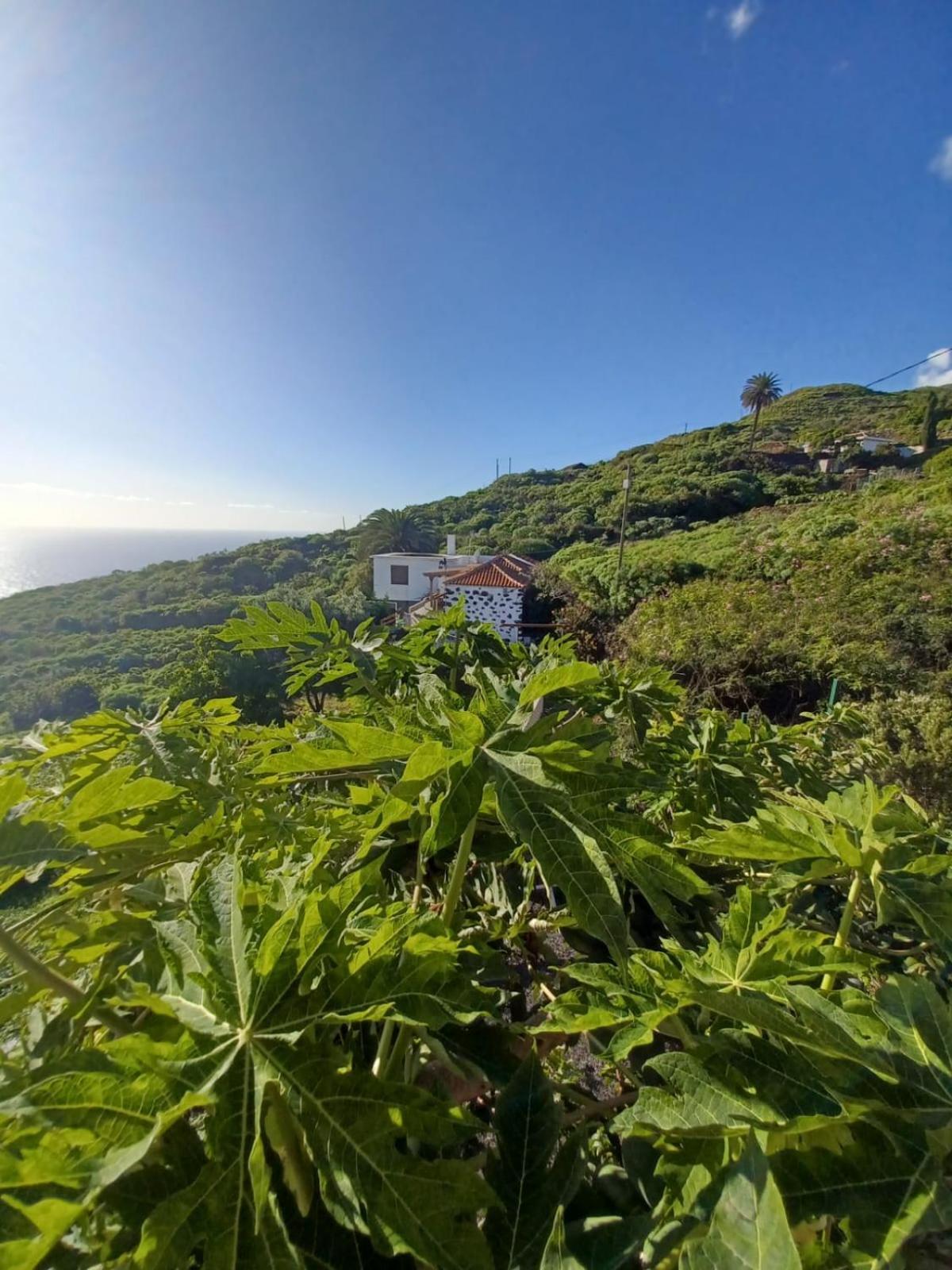 Casa Rural El Olivo De Mazo ภายนอก รูปภาพ